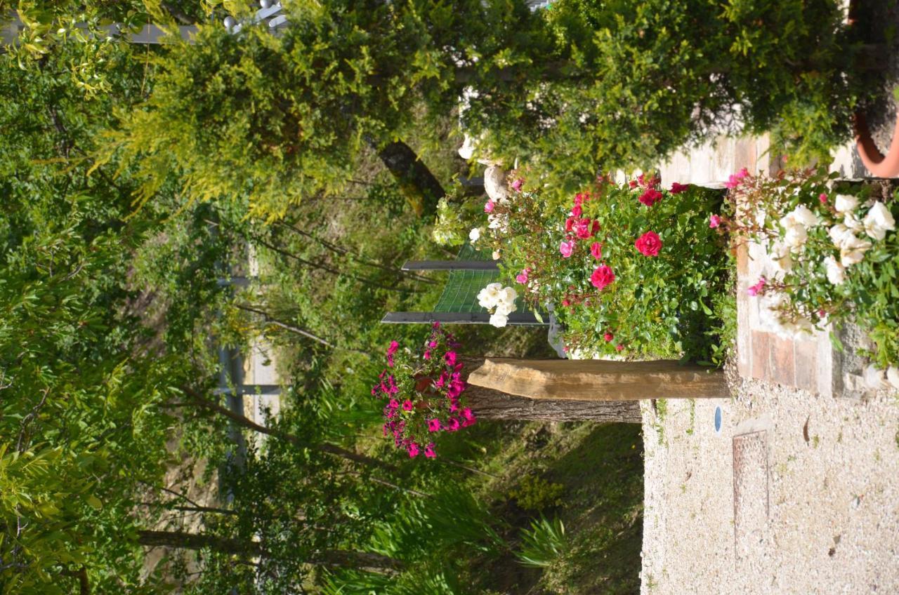 B&B La Terrazza Del Subasio Asís Exterior foto