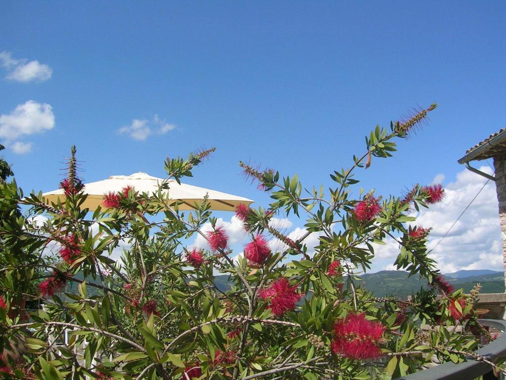 B&B La Terrazza Del Subasio Asís Habitación foto