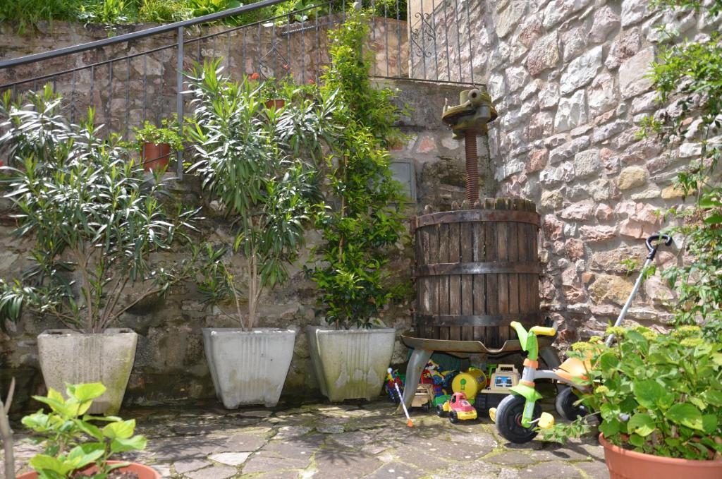 B&B La Terrazza Del Subasio Asís Exterior foto